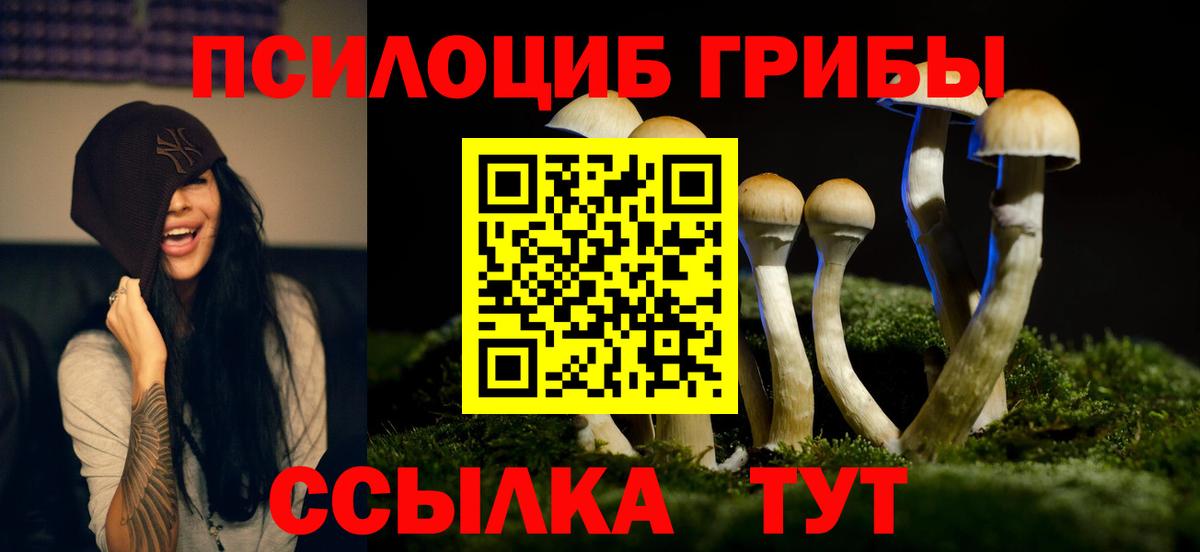 Сергиев Посад  Галлюциногенные грибы Psilocybe  Вход с VPN 