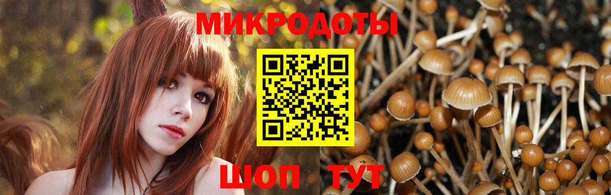 Псилоцибиновые грибы GOLDEN TEACHER Сергиев Посад